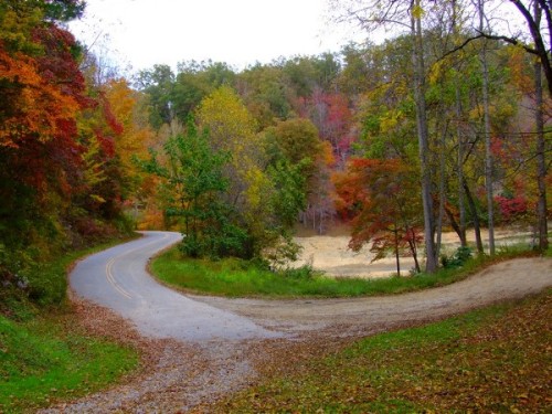 a country road in fall